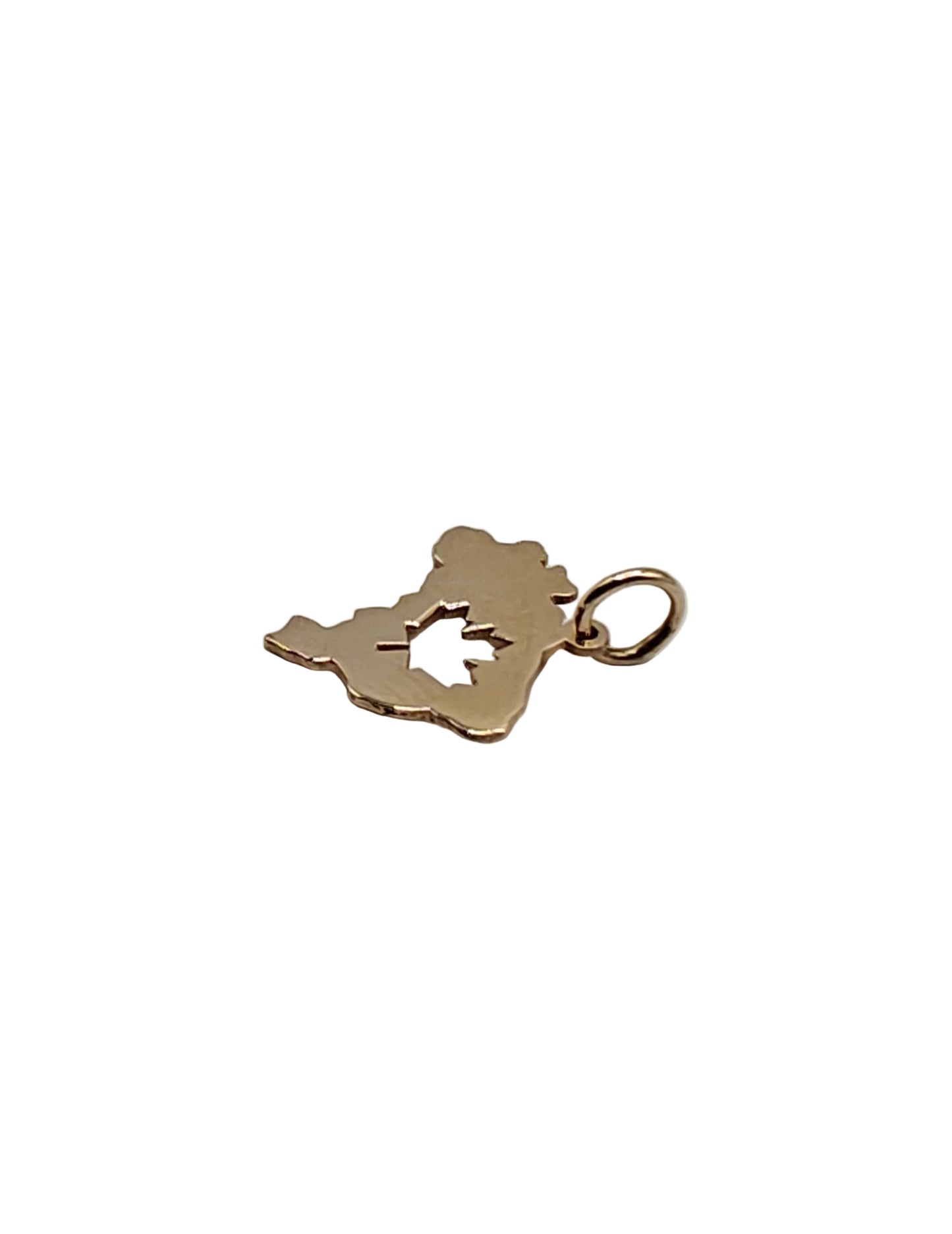 10K Gold Brazil & Maple Leaf Pendant